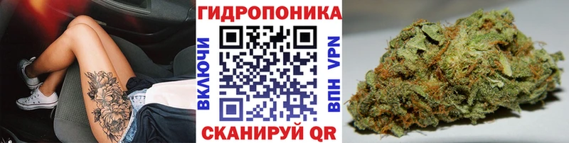 Виды наркотиков купить Новосокольники Марихуана COCAIN АМФЕТАМИН ГАШИШ