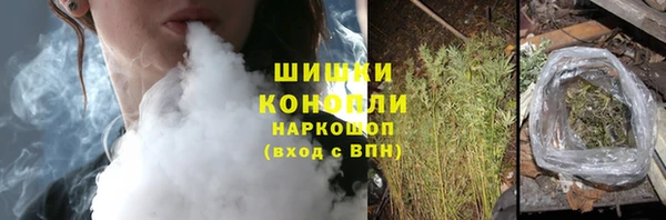 тгк Бронницы