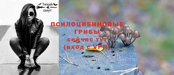 тгк Бронницы