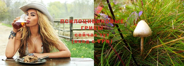 дурь Бородино
