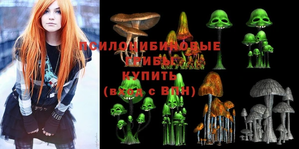 Альфа ПВП Бугульма