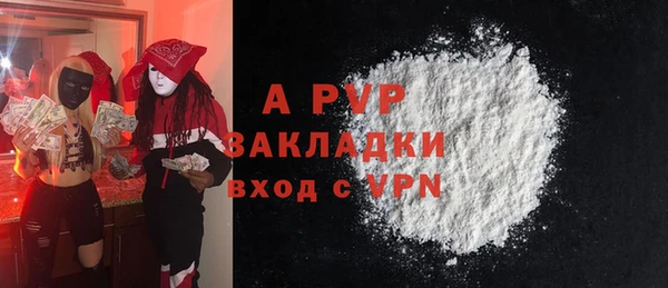 дурь Бородино