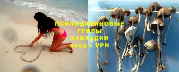 дурь Бородино