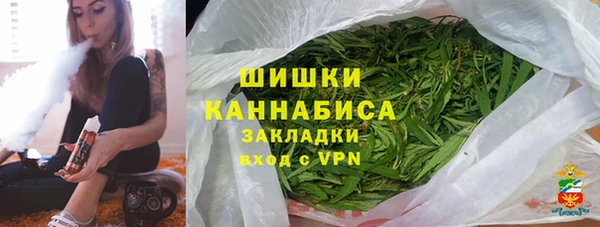 тгк Бронницы
