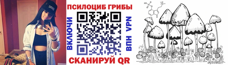 Псилоцибиновые грибы Psilocybe  Новосокольники 