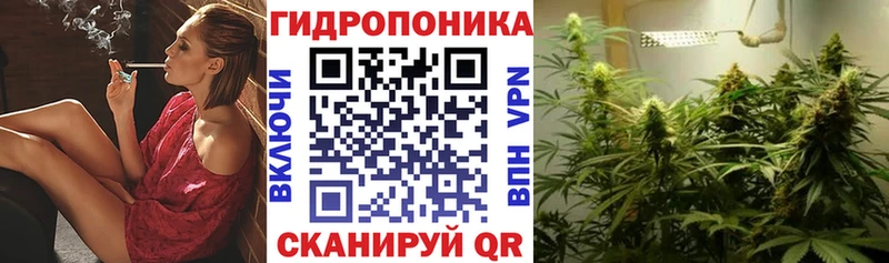 купить закладку  Новосокольники  Шишки марихуана SATIVA & INDICA 